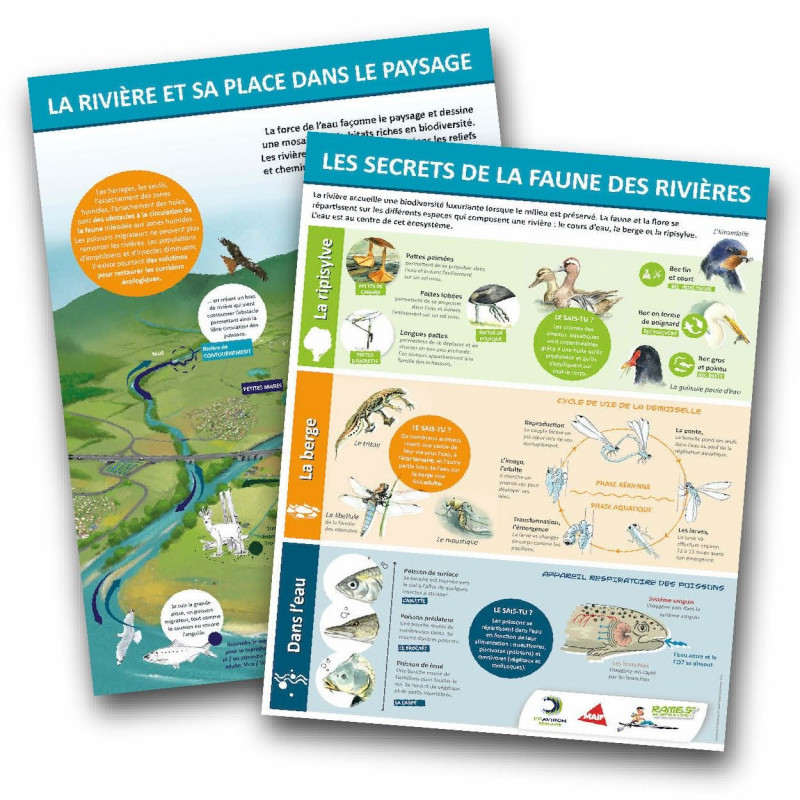 Boutique en ligne FFAviron | Affiches ENVIRONNEMENT Rame en 5ème se jette à l'eau Boutique en ligne FFAviron | Affiches ENVIRONNEMENT Rame en 5ème se jette à l'eau
