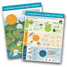 Boutique en ligne FFAviron | Affiches ENVIRONNEMENT Rame en 5ème se jette à l'eau